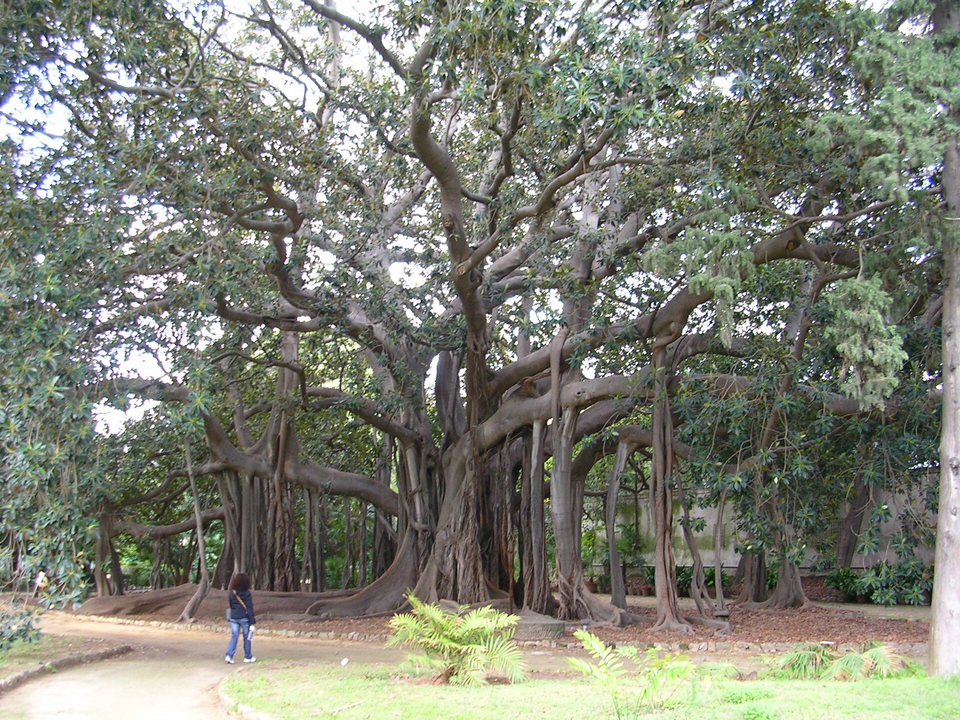 Orto Botanico